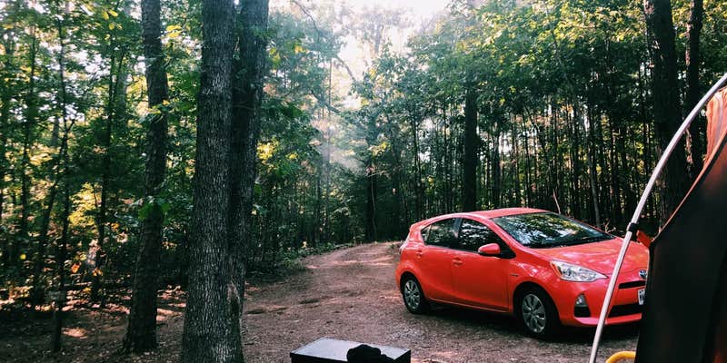 Camper submitted image from Bluegill Hill