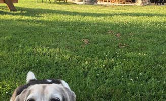 Amy K.'s photo of camping with pets at Platte River Campground — Sleeping Bear Dunes National Lakeshore near Sleeping Bear Dunes National Lakeshore