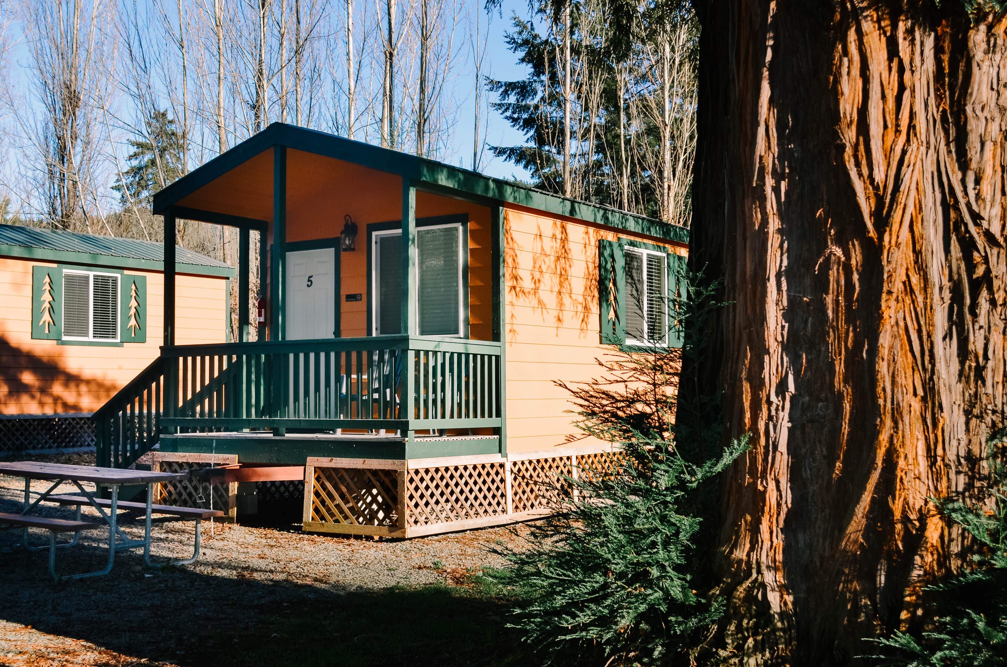 Katya Q.'s photo of a cabin at Giant Redwoods RV & Cabin Destination near Blue Lake, CA