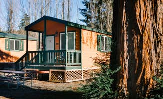 Katya Q.'s photo of a cabin at Giant Redwoods RV & Cabin Destination near Essex, CA