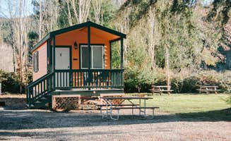 Katya Q.'s photo of a cabin at Giant Redwoods RV & Cabin Destination near Fortuna, CA