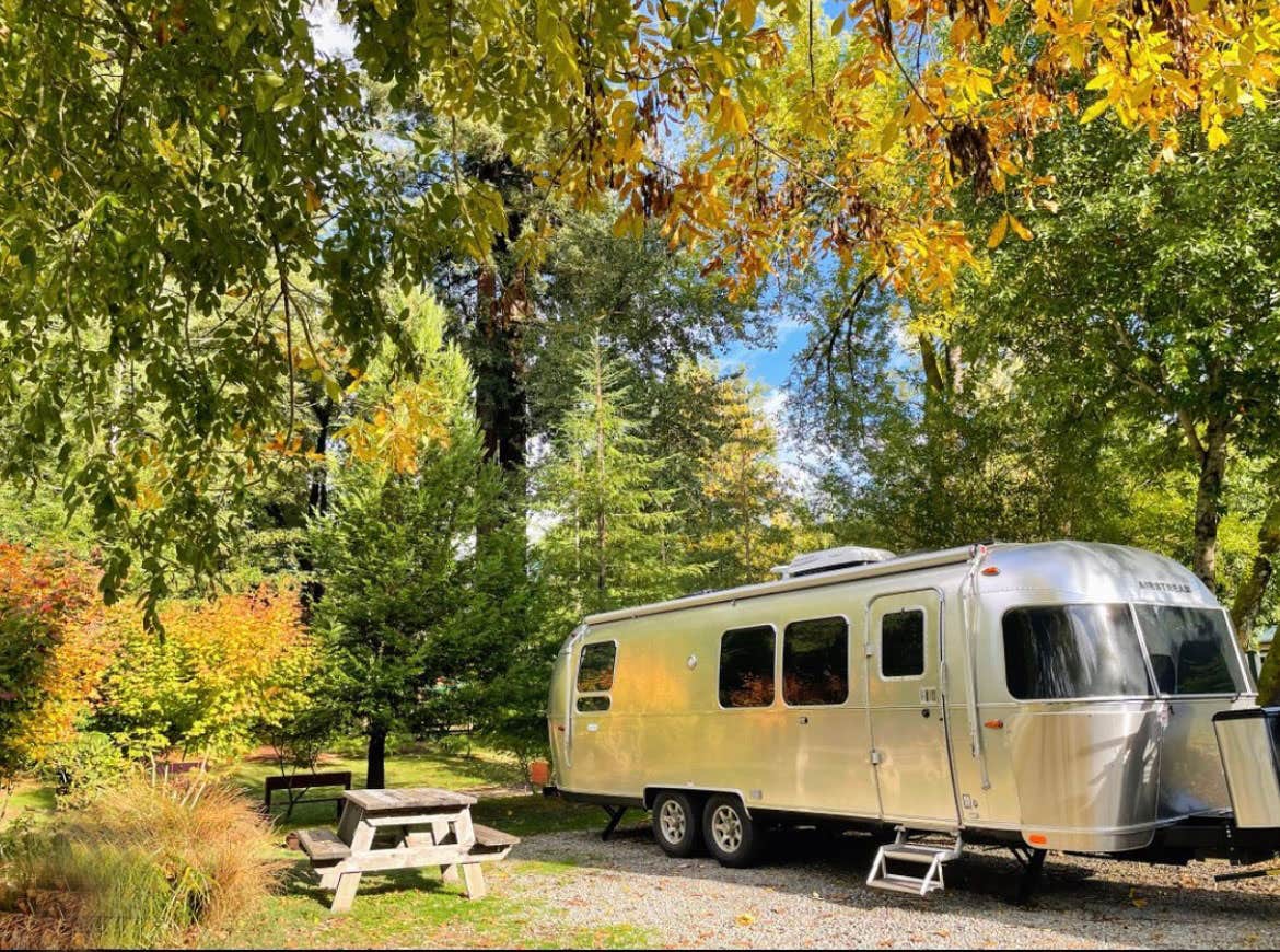 Katya Q.'s photo of rv camping at Giant Redwoods RV & Cabin Destination near Redway, CA