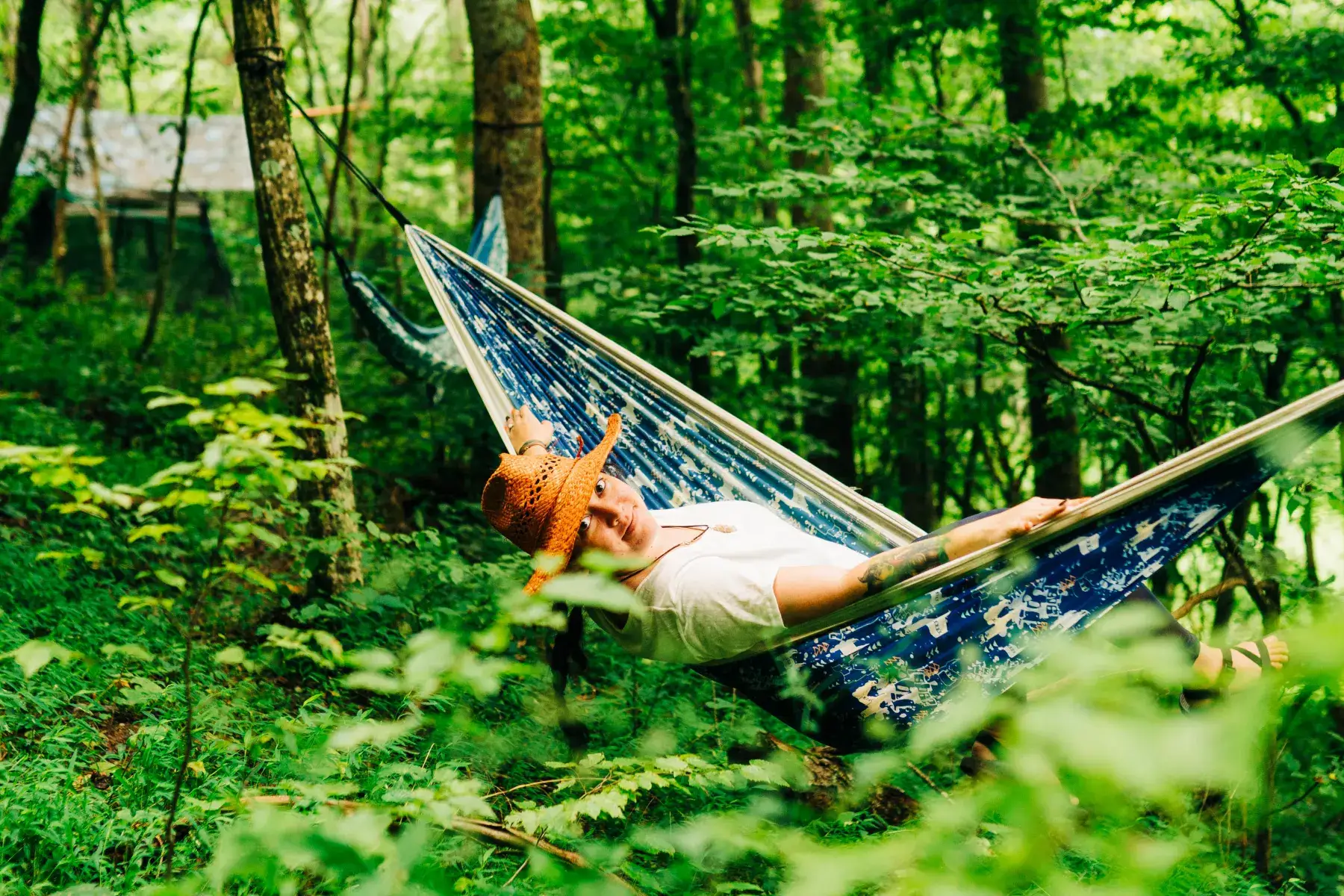 Camper-submitted photo at Self Sufficient Holler near Wilkesboro, NC