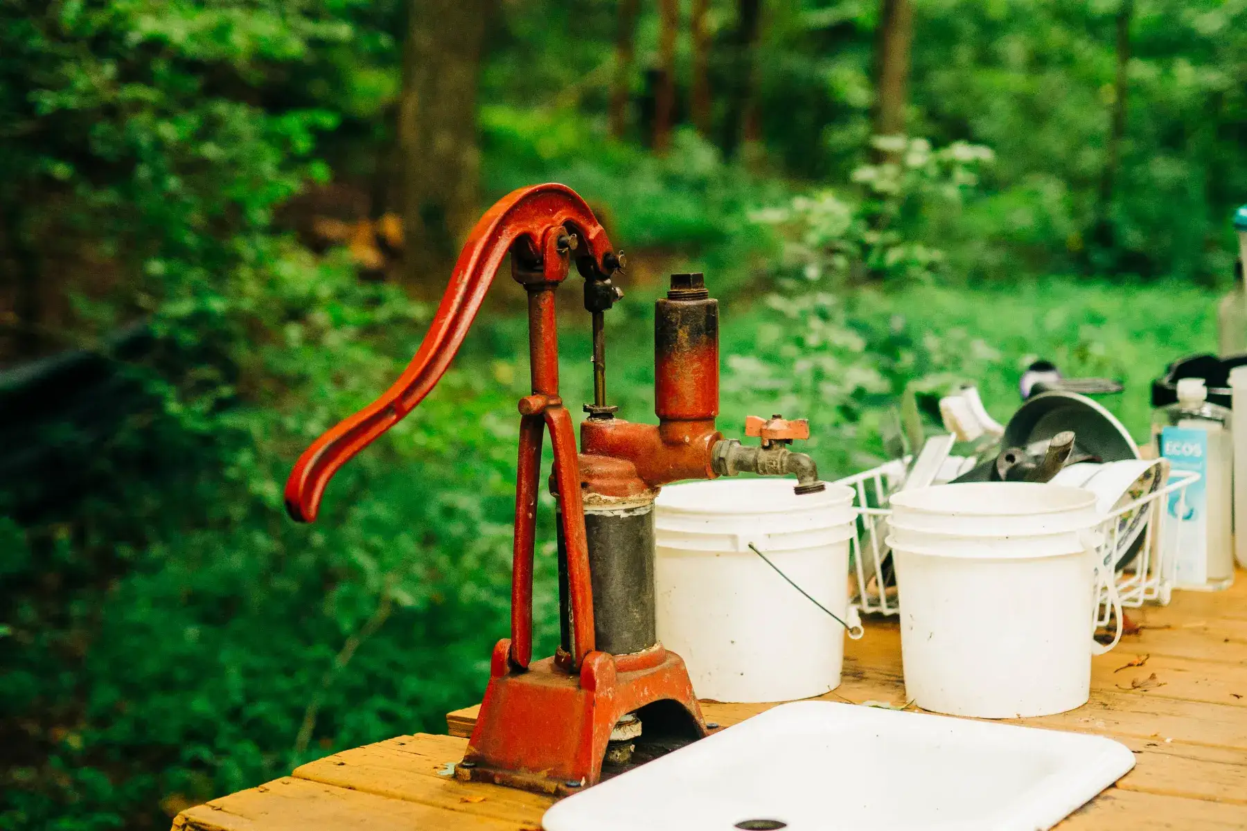 Camper-submitted photo at Self Sufficient Holler near Wilkesboro, NC