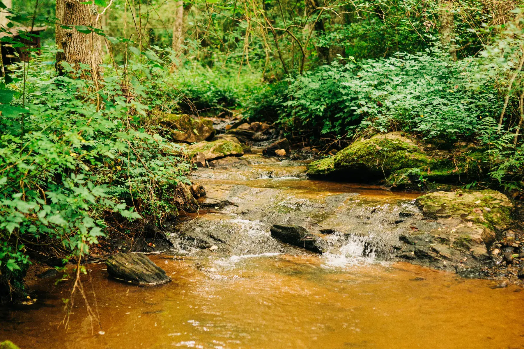 Camper-submitted photo at Self Sufficient Holler near Wilkesboro, NC