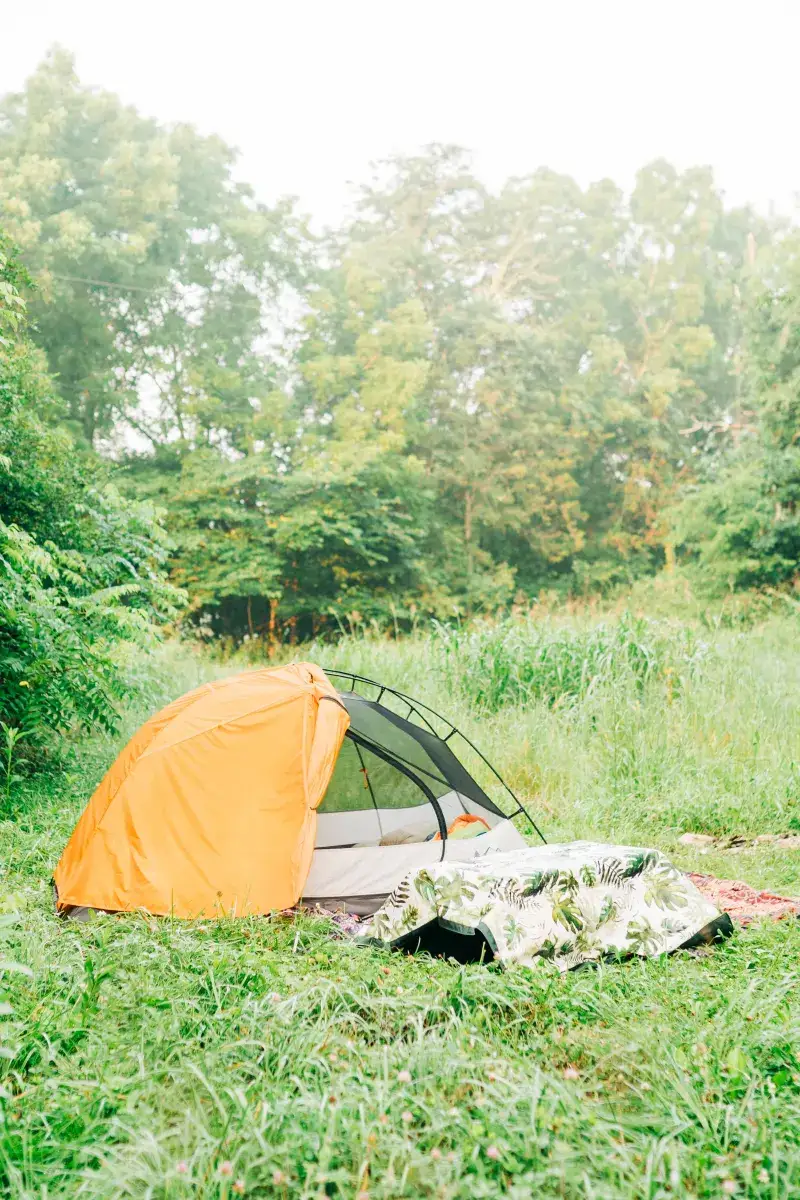 Camper-submitted photo at Back Achers Farm near Fort Oglethorpe, GA
