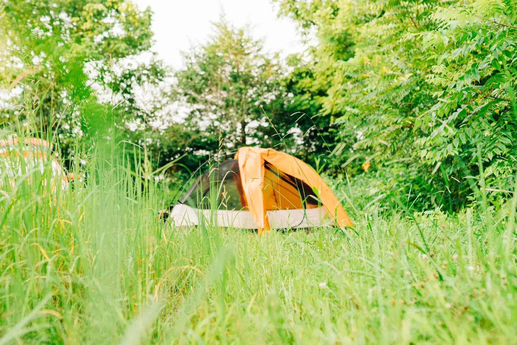 Camper-submitted photo at Back Achers Farm near Fort Oglethorpe, GA