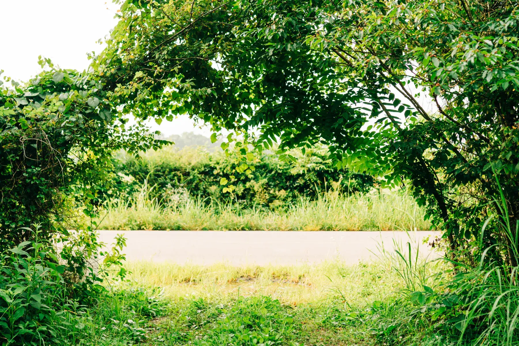 Camper-submitted photo at Back Achers Farm near Fort Oglethorpe, GA