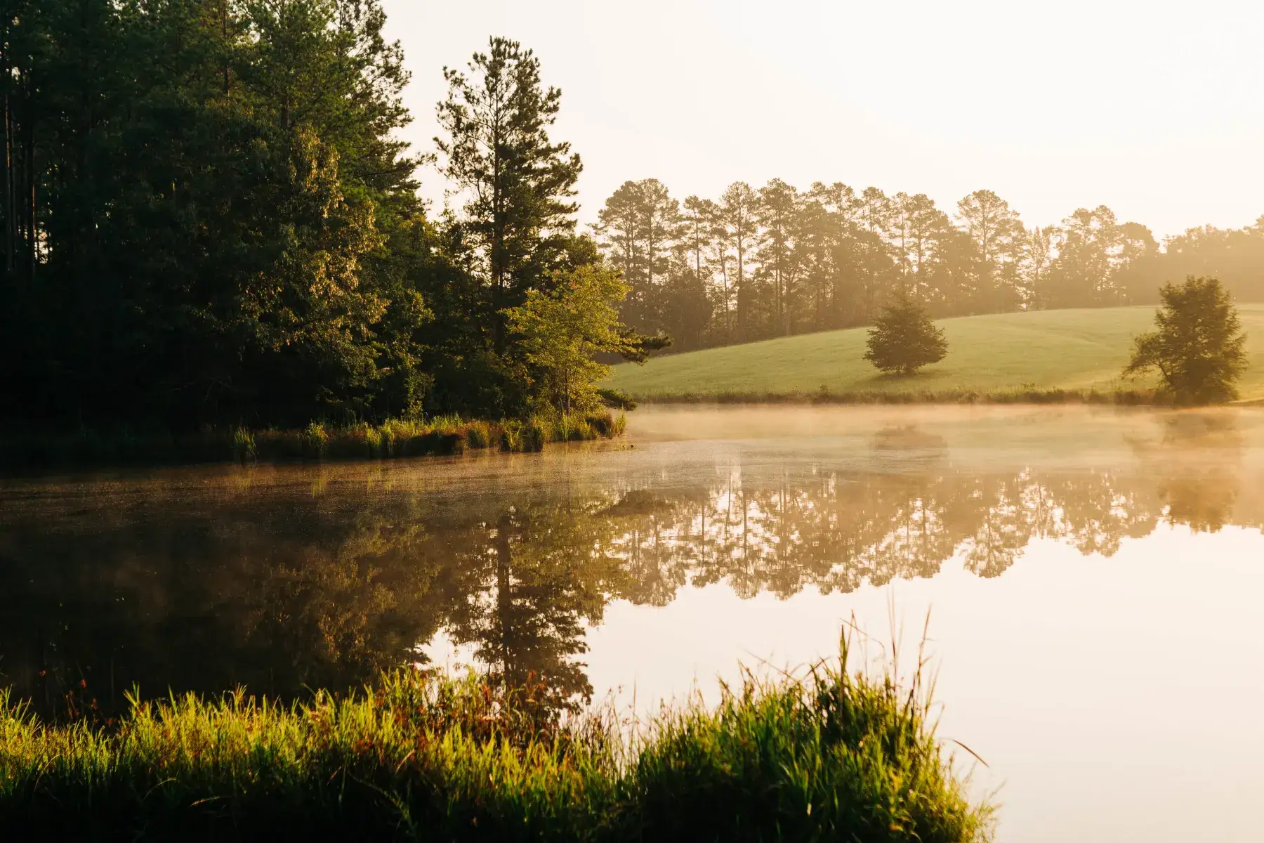 Camper-submitted photo at Reflect, Renew, Resolve near Ackerman, MS