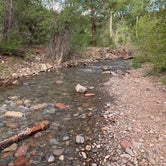 Review photo of Junction Creek Campground by Alexandra M., June 1, 2022
