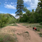 Review photo of Junction Creek Campground by Alexandra M., June 1, 2022