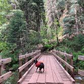 Review photo of Junction Creek Campground by Alexandra M., June 1, 2022