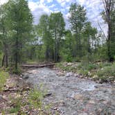 Review photo of Junction Creek Campground by Alexandra M., June 1, 2022