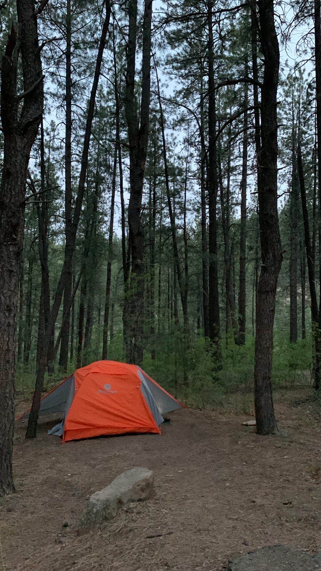Alexandra M.'s photo at Junction Creek Campground near San Juan National Forest