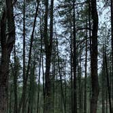Review photo of Junction Creek Campground by Alexandra M., June 1, 2022