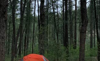 Alexandra M.'s photo at Junction Creek Campground near San Juan National Forest