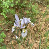 Review photo of Junction Creek Campground by Alexandra M., June 1, 2022