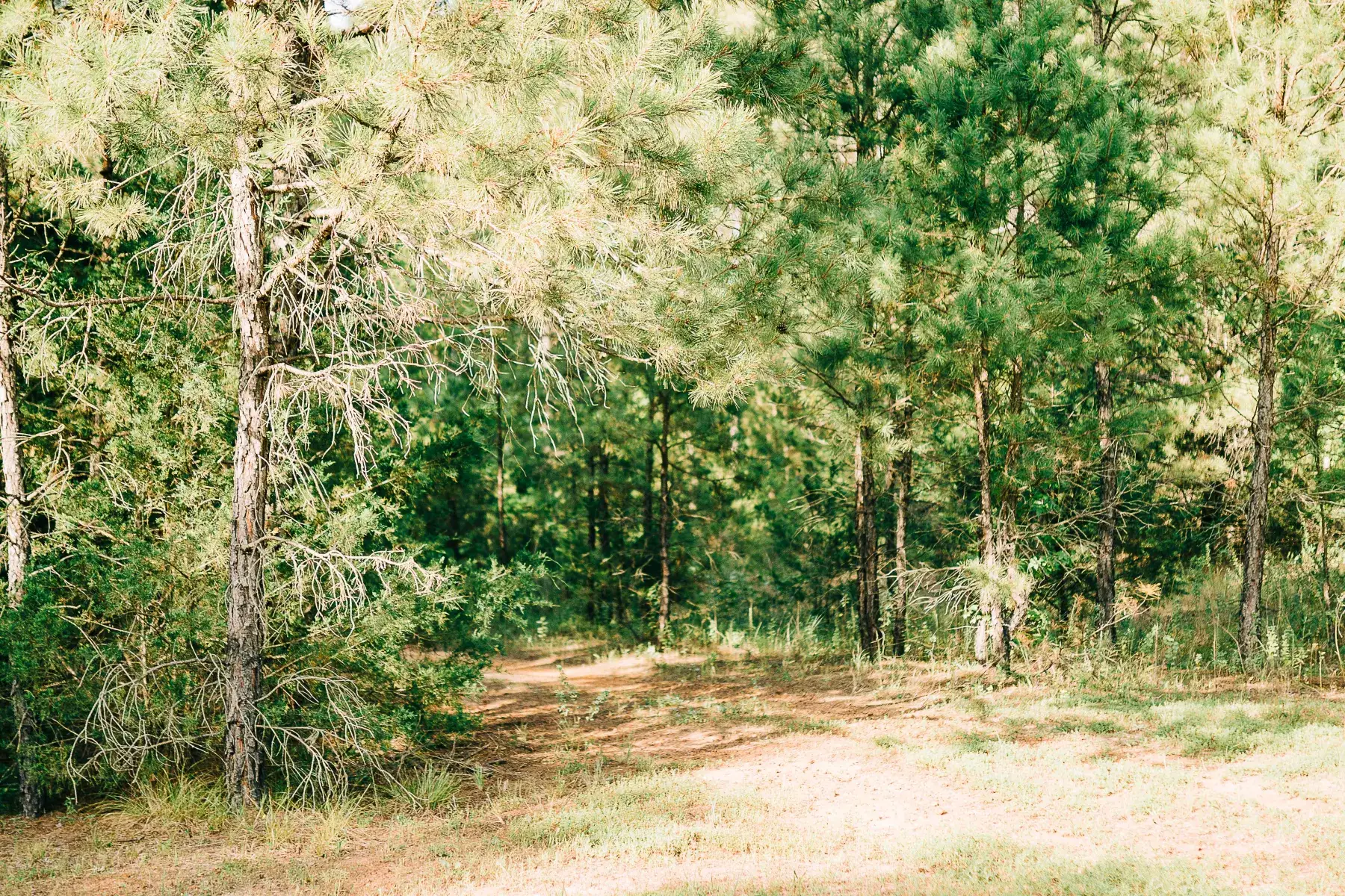 Camper-submitted photo at Harpoon Larry's Camping near Sulphur Springs, TX