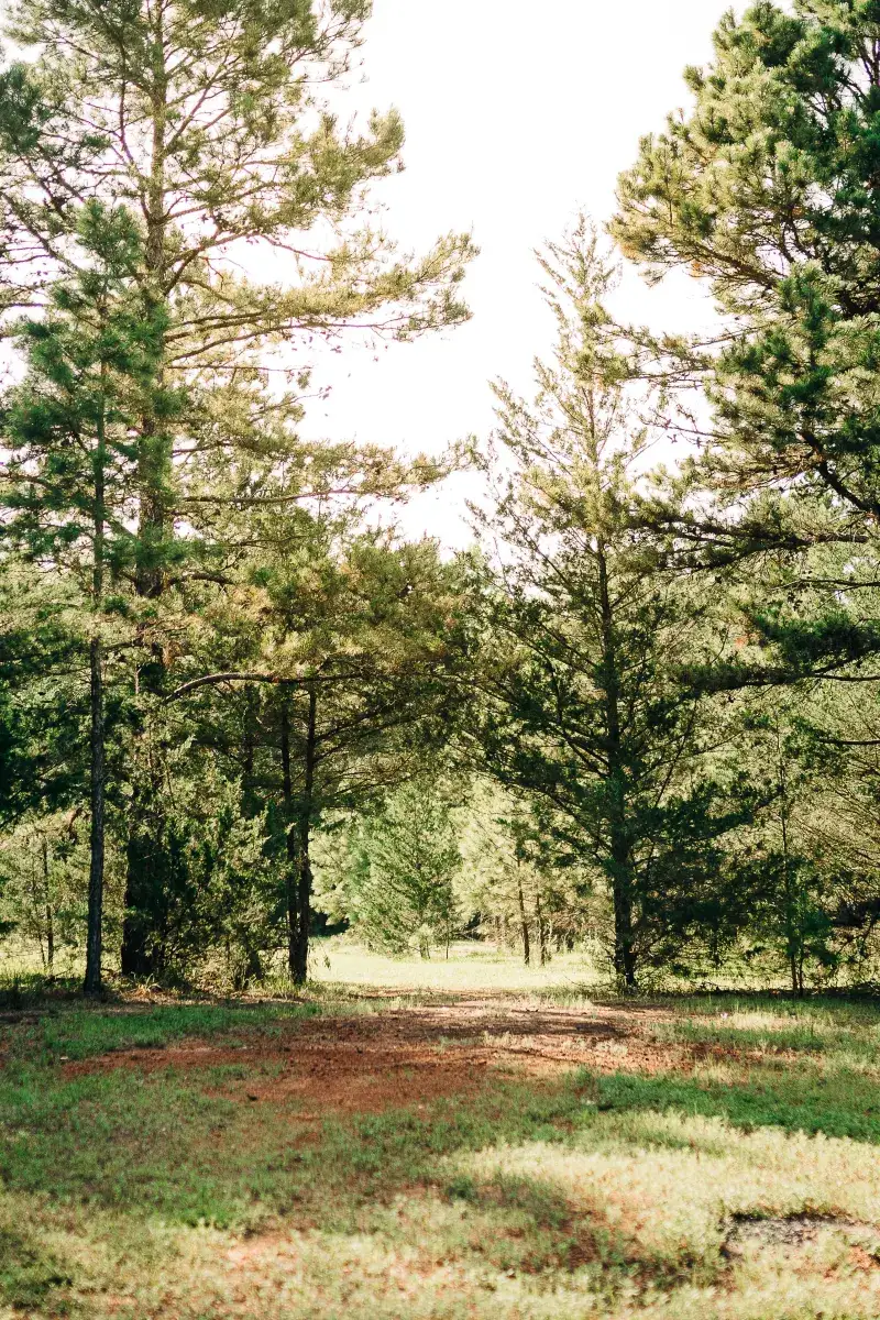Camper-submitted photo at Harpoon Larry's Camping near Sulphur Springs, TX