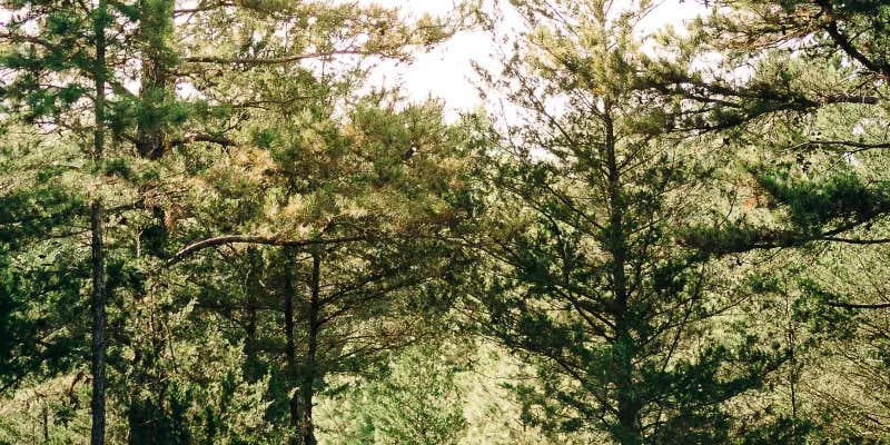 Camper submitted image from Harpoon Larry's Camping