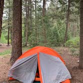 Review photo of Vallecito Campground by Alexandra M., June 1, 2022