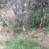 Review photo of South Shore Campground — Trinidad Lake State Park by Amy E., July 15, 2018