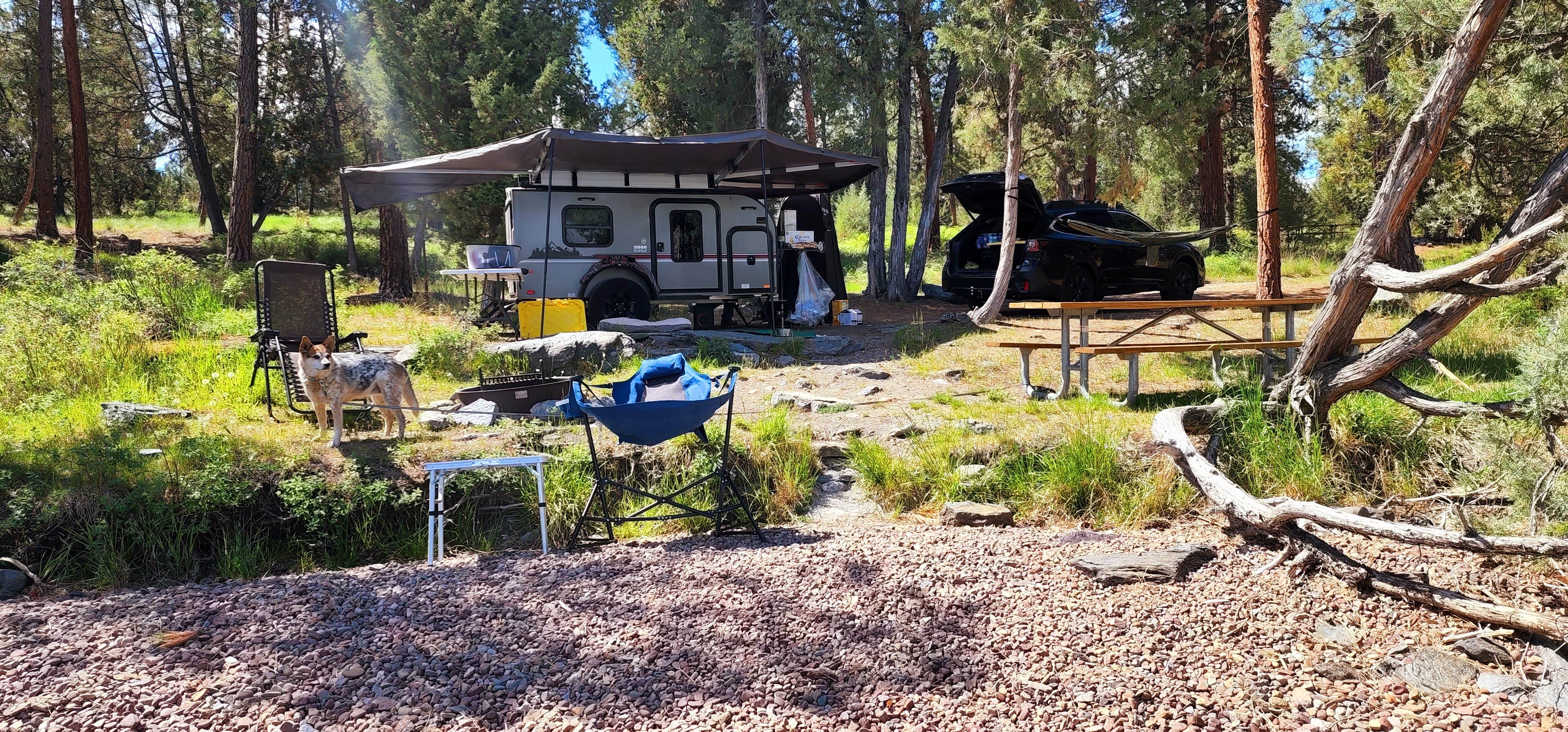Jordan R.'s photo at Big Arm State Unit — Flathead Lake State Park near Proctor, MT