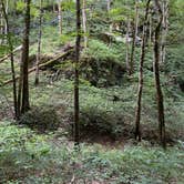 Review photo of Yogi Bear's Jellystone Park at Mammoth Cave by Jeff T., June 1, 2022