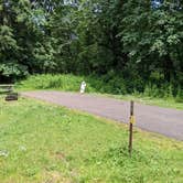 Review photo of Armitage Park & Campground - a Lane County Park by Laura M., June 2, 2022