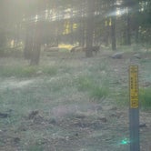 Review photo of Pumphouse Wash (FR 237) Dispersed Camping Area by Evan D., June 1, 2022