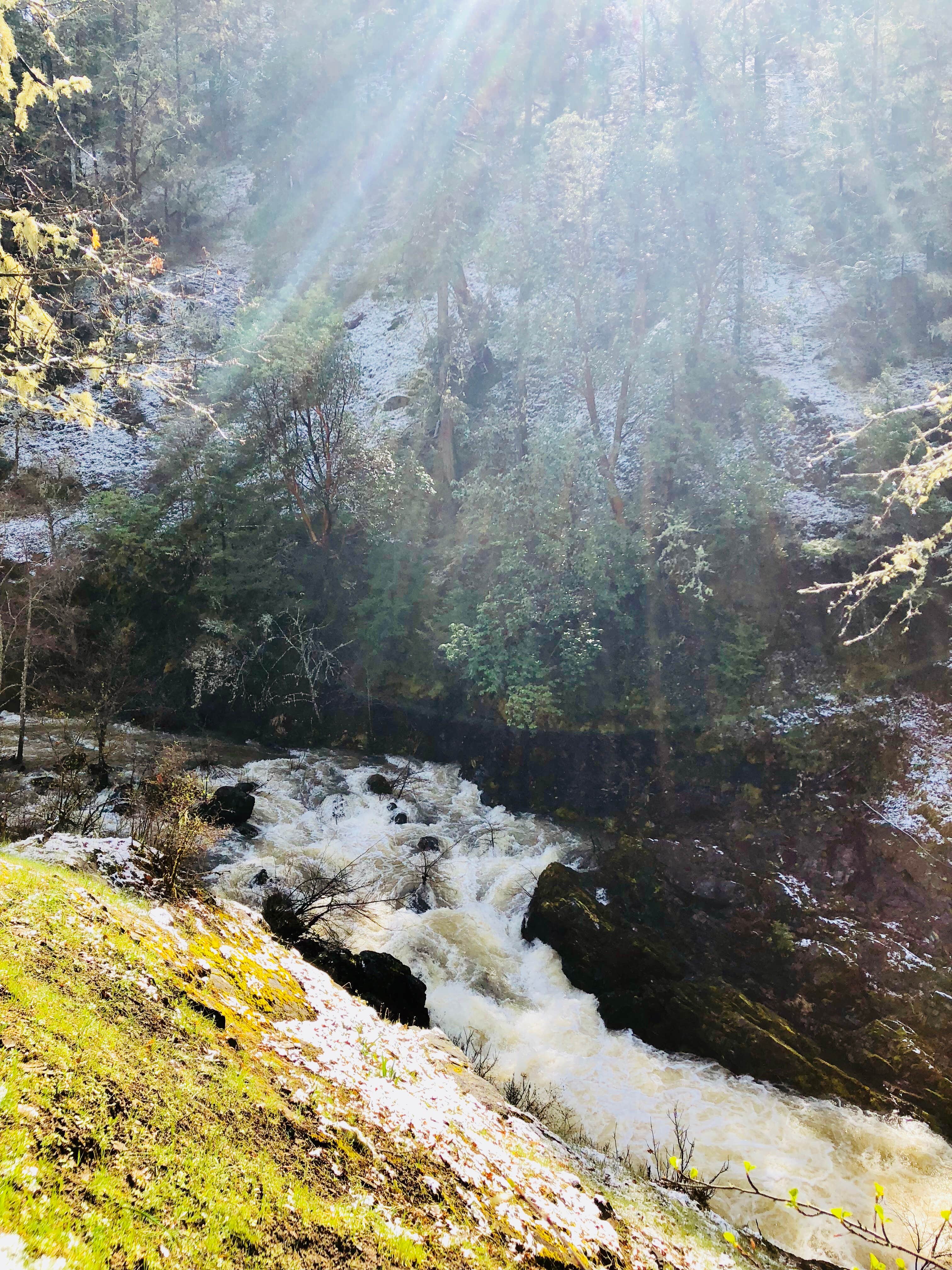 Camper-submitted photo at Grants Pass KOA near Wolf Creek, OR