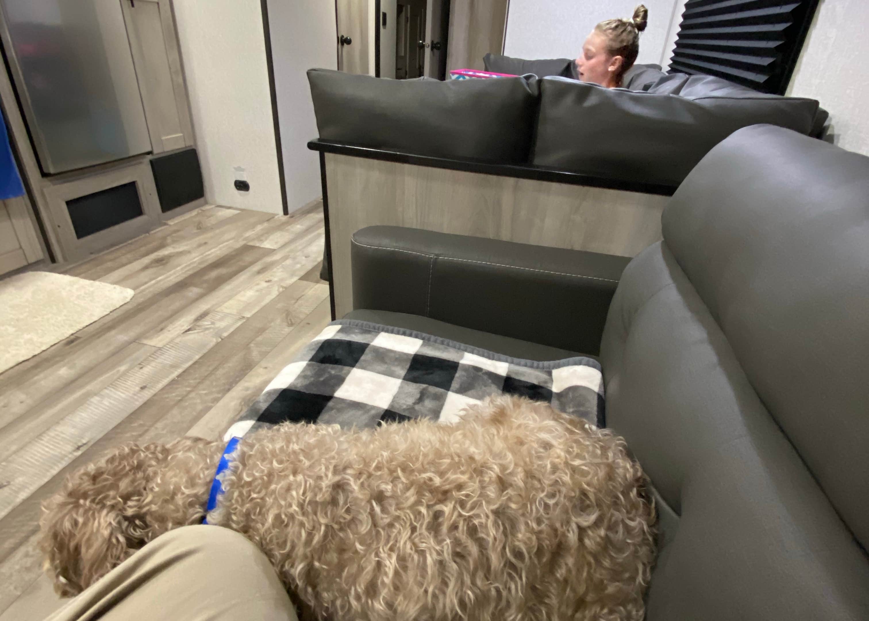 Steele Creek Marina & Campground Camping The Dyrt