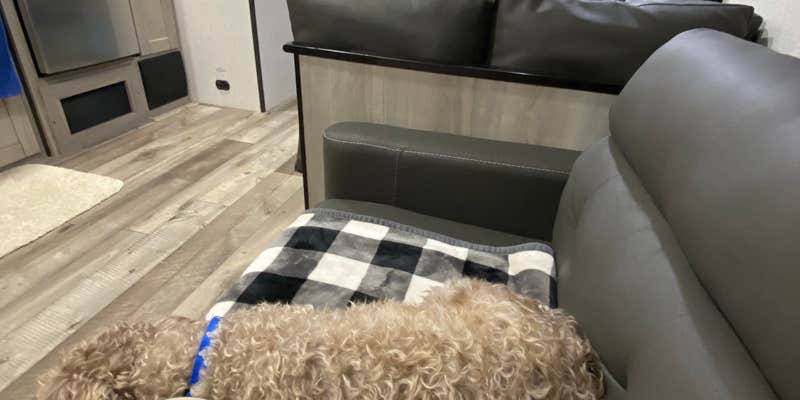 Camper submitted image from Steele Creek Marina & Campground