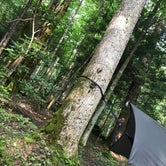 Review photo of Cosby Campground — Great Smoky Mountains National Park by Mandi M., July 15, 2018
