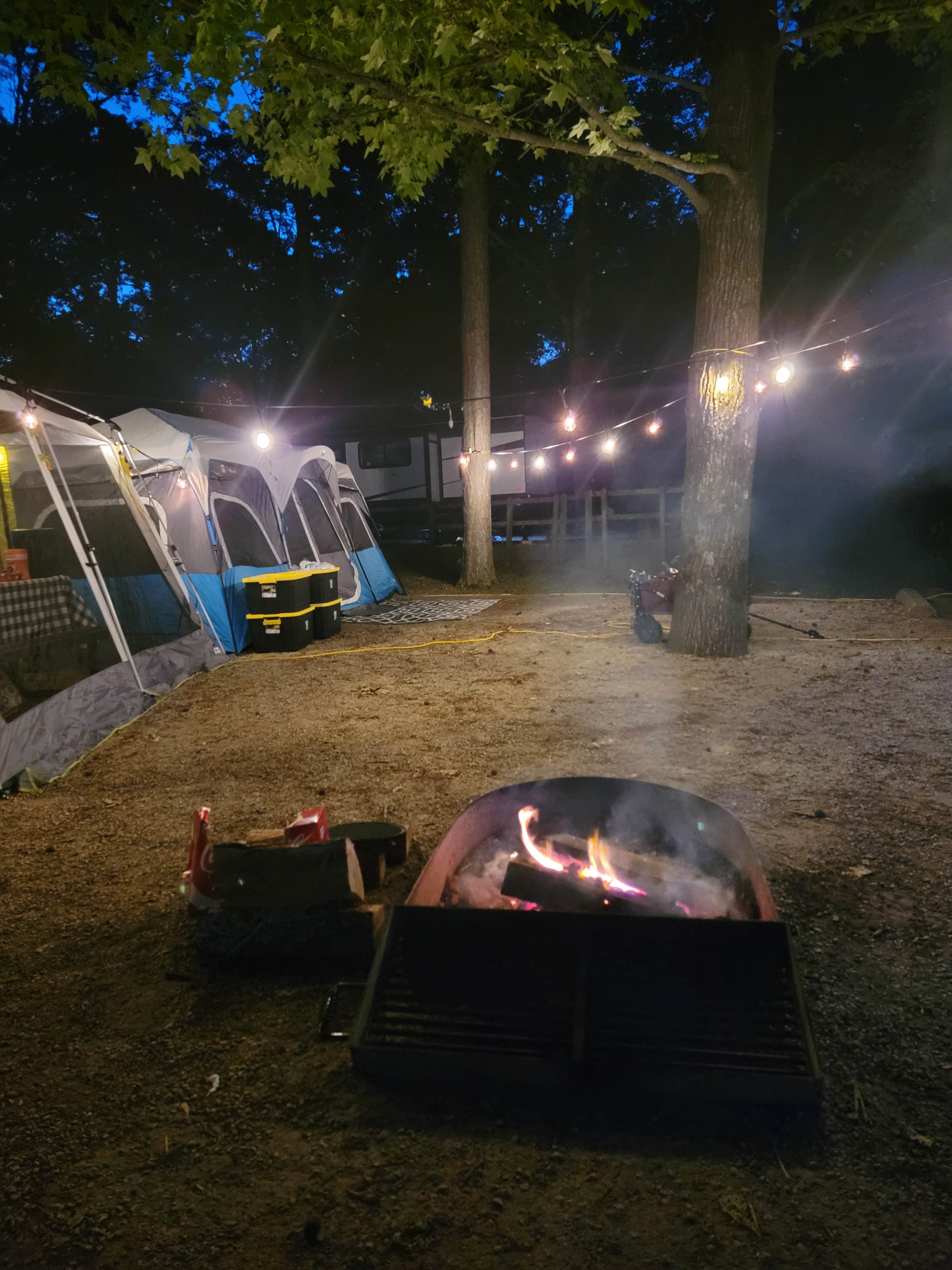 Camper submitted image from Lake Poinsett State Park Campground - 1