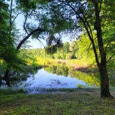 Review photo of Lake Poinsett State Park Campground by Sean D., June 2, 2022