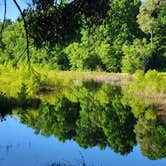 Review photo of Lake Poinsett State Park Campground by Sean D., June 2, 2022