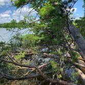 Review photo of Badin Lake Campground by A P., June 2, 2022