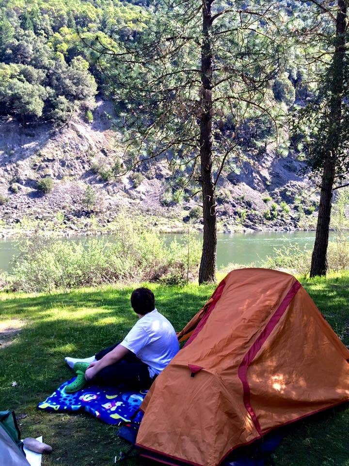 View All