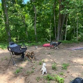 Review photo of The Landing at Bear Creek RV Park by Elana C., June 2, 2022