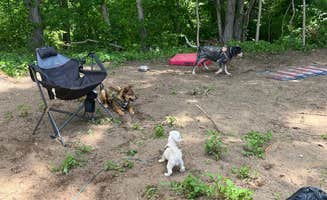 Elana C.'s photo of camping with pets at The Landing at Bear Creek RV Park near Manchester, OH