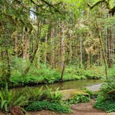 Review photo of Elk Prairie Campground — Prairie Creek Redwoods State Park by Kirsten , June 2, 2022