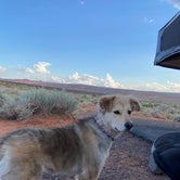 Review photo of Sand Hollow State Park Campground by Kaitie M., June 2, 2022