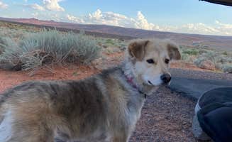 Kaitie M.'s photo of camping with pets at Westside Campground — Sand Hollow State Park near Washington, UT