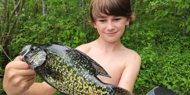 Camper submitted image from Jack's Landing Resort