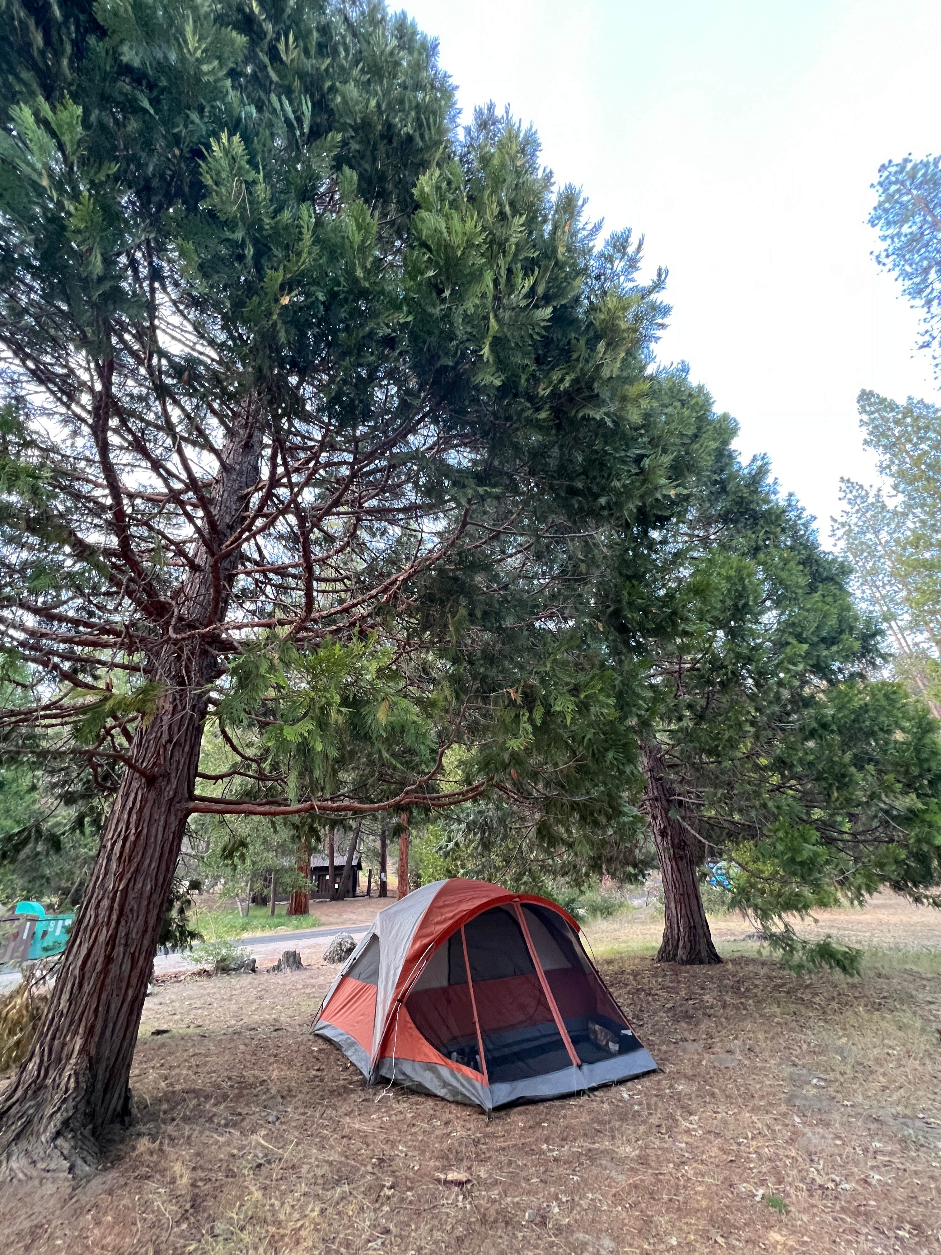 Janet B.'s photo at Wawona Campground — Yosemite National Park near El Portal, CA