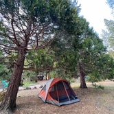 Review photo of Wawona Campground — Yosemite National Park by Janet B., June 2, 2022