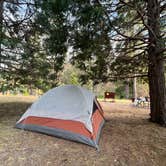 Review photo of Wawona Campground — Yosemite National Park by Janet B., June 2, 2022