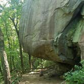 Review photo of West Rim - Cloudland Canyon State Park by Doreen M., June 2, 2022