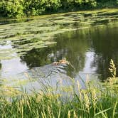 Review photo of Acorn Valley by kandice , June 2, 2022